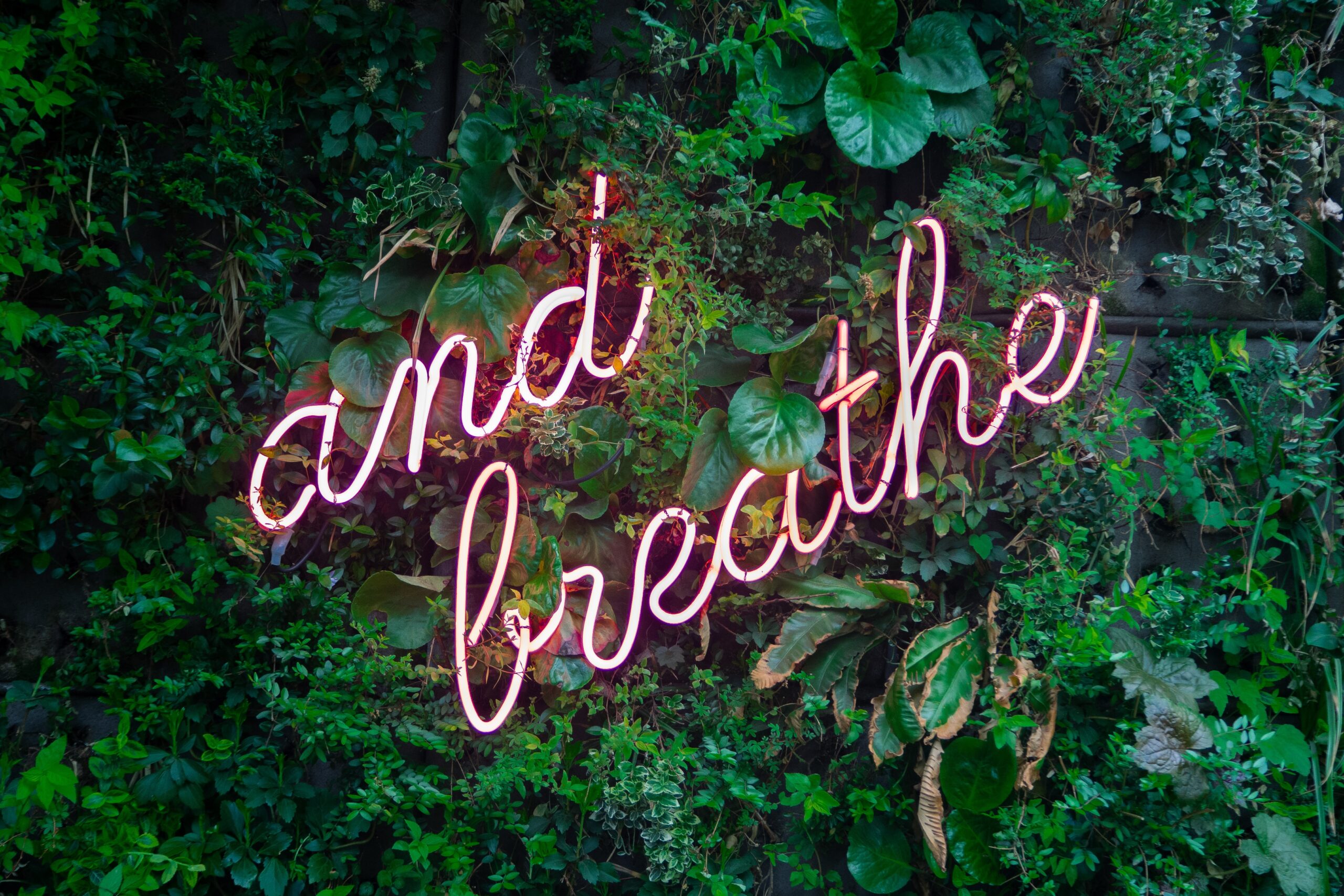 pink neon sign that says Just breathe and hanging on a green planted wall for a blog article about how to show up for yourself